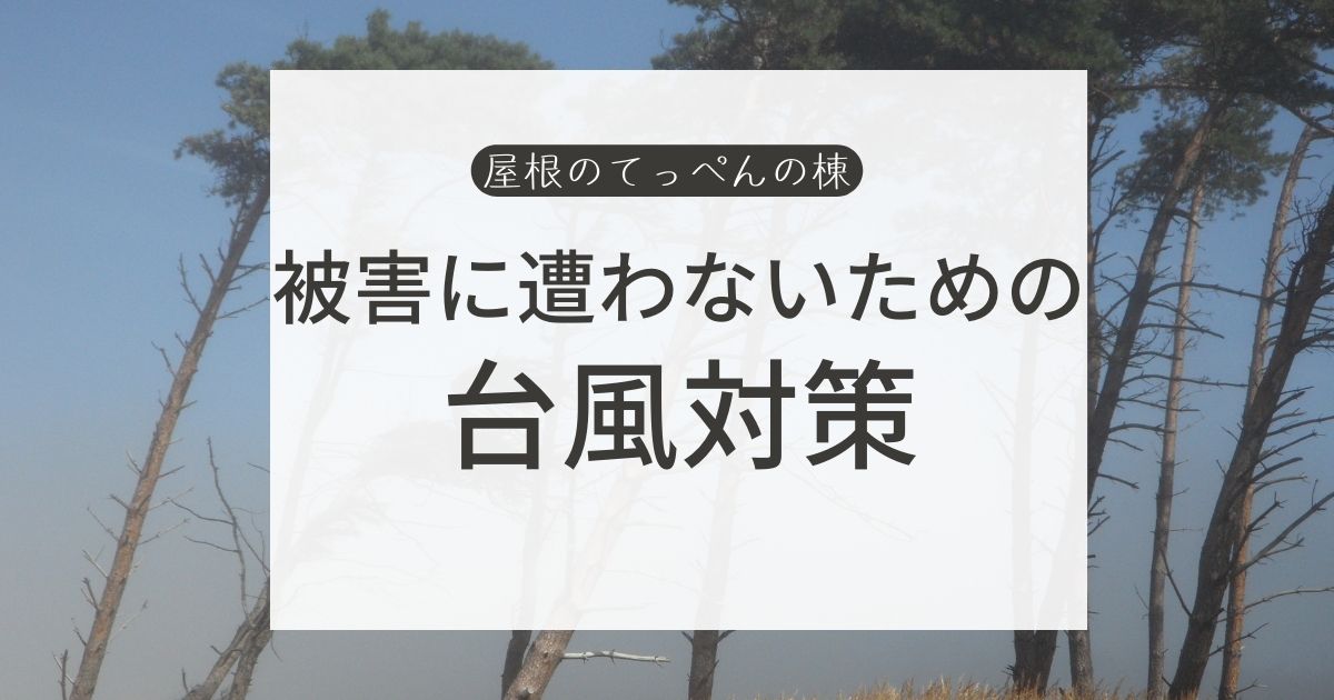 被害に遭わないための　台風対策