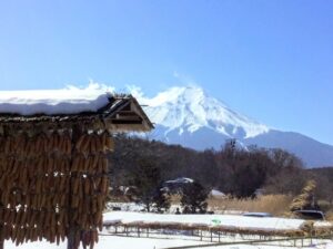 山梨県