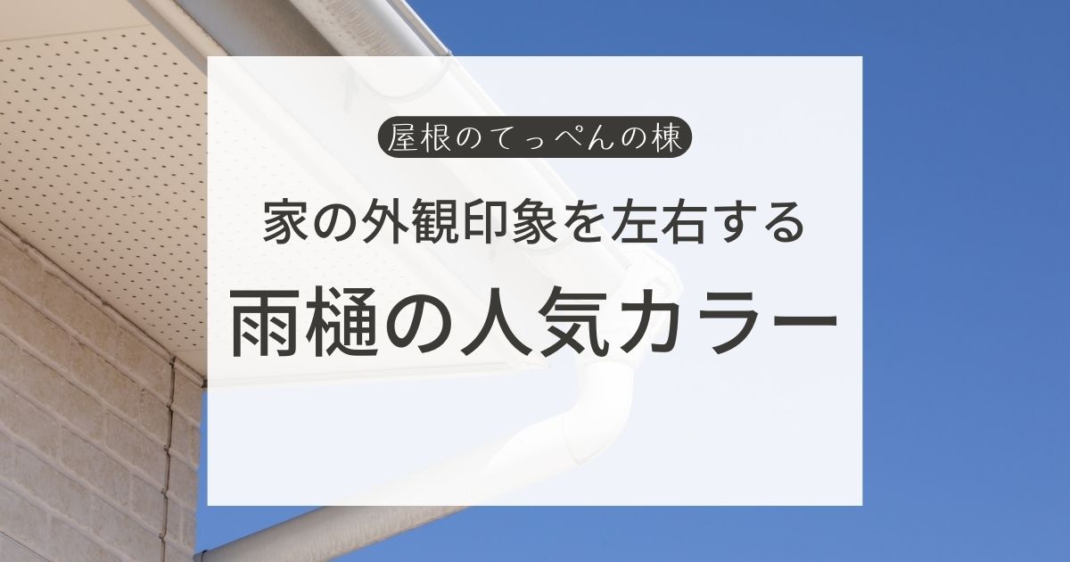 家の外観印象を左右する　雨樋の人気カラー