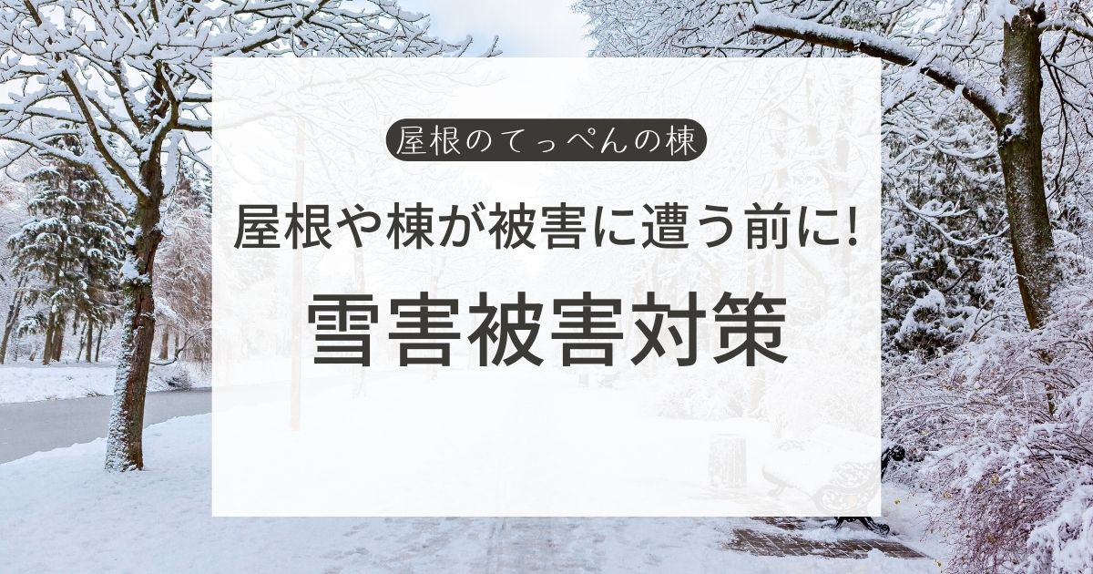 屋根や棟が被害に遭う前に！雪害被害対策