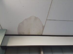 雨漏り　天井のシミ
